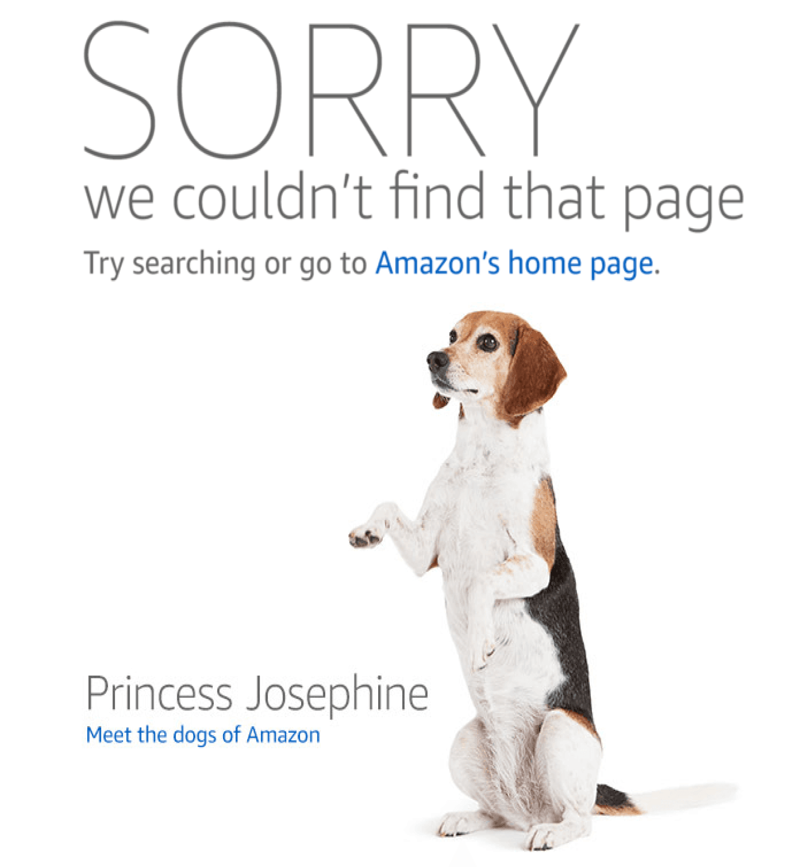 sorry we couldn't find page